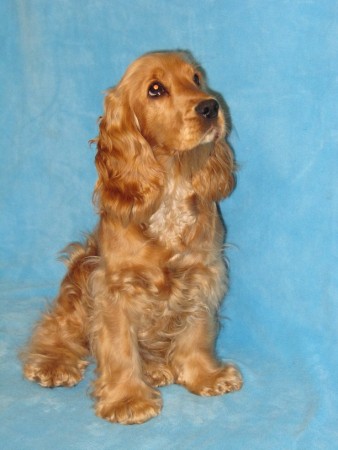 SUNNY "Chlastáčková"